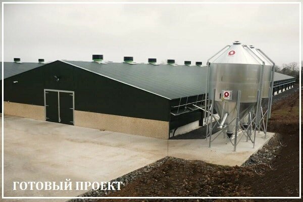 Этапы возведения птицефабрики от завода ВелесТент-блг